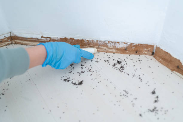 Best Pest Control for Multi-Family Homes  in Maury, NC